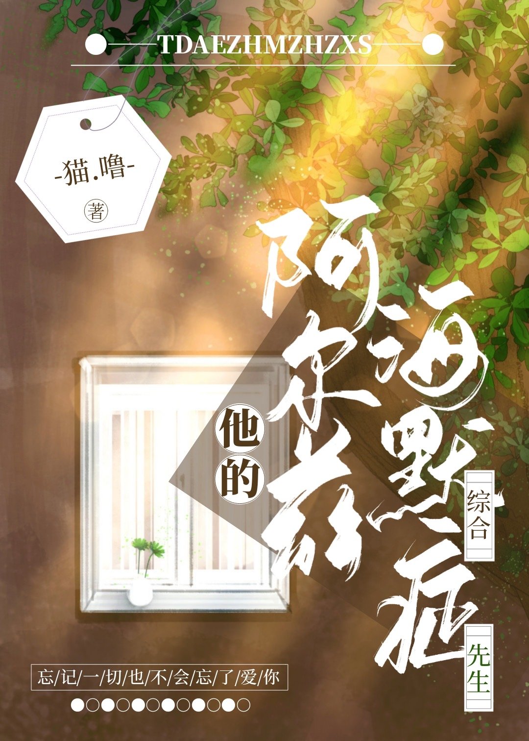 他的阿尔兹海默症先生 他的阿尔兹海默症先生