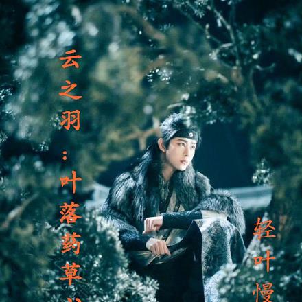 云之羽:叶落药草心 云之羽:叶落药草心