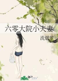 六零大院小夫妻 六零大院小夫妻