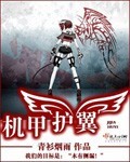 机甲护翼 机甲护翼