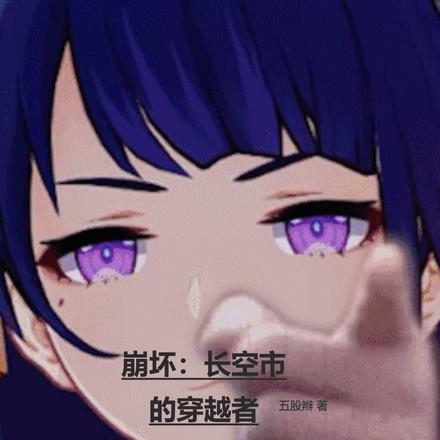 崩坏:长空市的穿越者 崩坏:长空市的穿越者