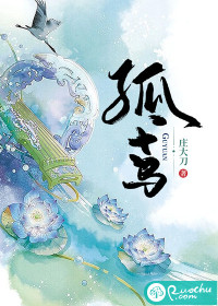 孤鸢 孤鸢