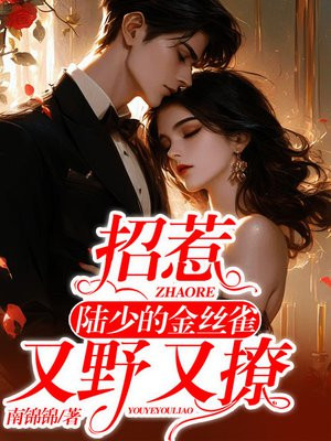招惹:陆少的金丝雀又野又撩 招惹:陆少的金丝雀又野又撩
