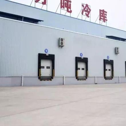 四合院之开局娶个售货员 四合院之开局娶个售货员