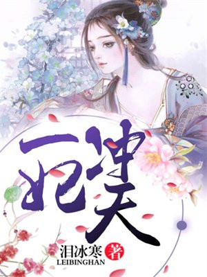 一妃冲天 一妃冲天
