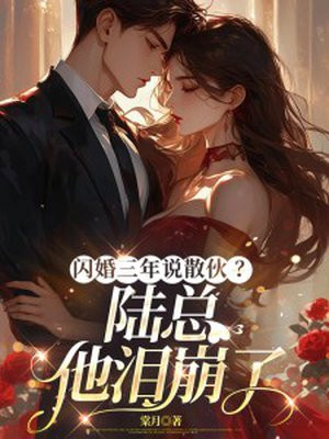 闪婚三年说散伙?陆总他泪崩了 闪婚三年说散伙?陆总他泪崩了
