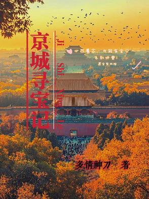 京城寻宝记 京城寻宝记