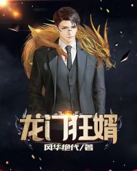 龙门狂婿 龙门狂婿